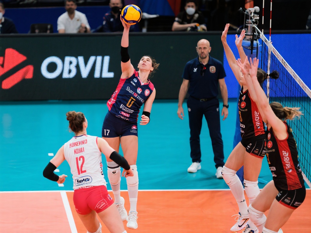 海港可以选 海港可以选